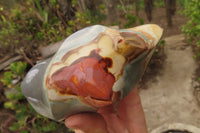 Polished Polychrome Jasper Flames x 3 From Mahajanga, Madagascar - Toprock Gemstones and Minerals 