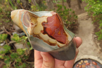 Polished Polychrome Jasper Flames x 3 From Mahajanga, Madagascar - Toprock Gemstones and Minerals 