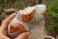 Polished Polychrome Jasper Flames x 3 From Mahajanga, Madagascar - Toprock Gemstones and Minerals 