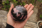 Polished Rhodonite Sphere-Ball x 2 From Ambindavato, Madagascar - Toprock Gemstones and Minerals 