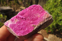 Natural Salrose Cobaltion Dolomite Specimens x 12 From Kakanda, Congo - Toprock Gemstones and Minerals 