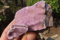 Natural Salrose Cobaltion Dolomite Specimens x 12 From Kakanda, Congo - Toprock Gemstones and Minerals 
