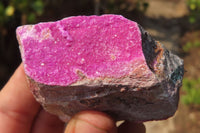 Natural Salrose Cobaltion Dolomite Specimens x 12 From Kakanda, Congo - Toprock Gemstones and Minerals 