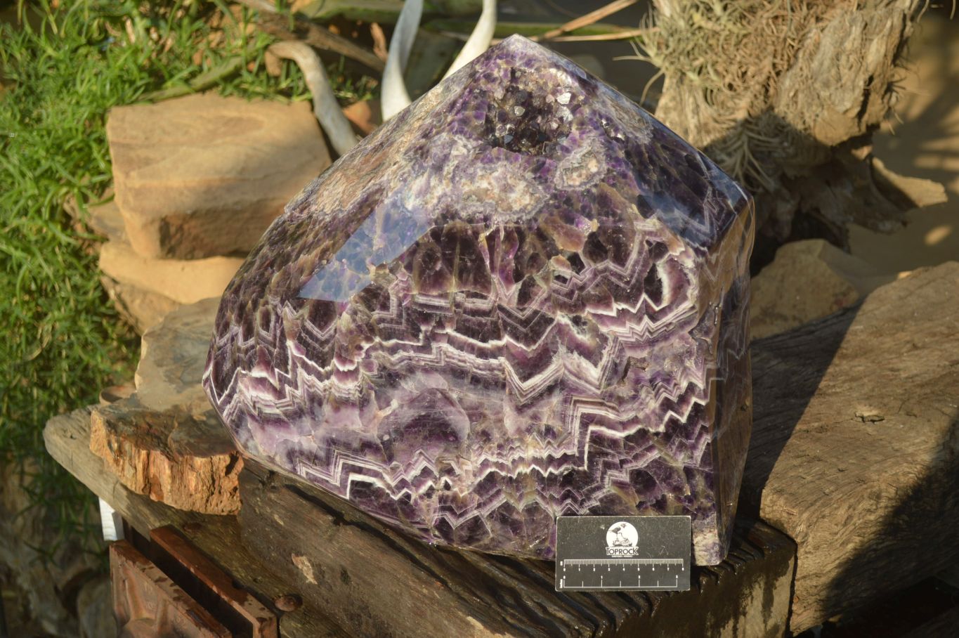 Polished Chevron Amethyst Point With Geode Vugs x 1 From Zambia - Toprock Gemstones and Minerals 