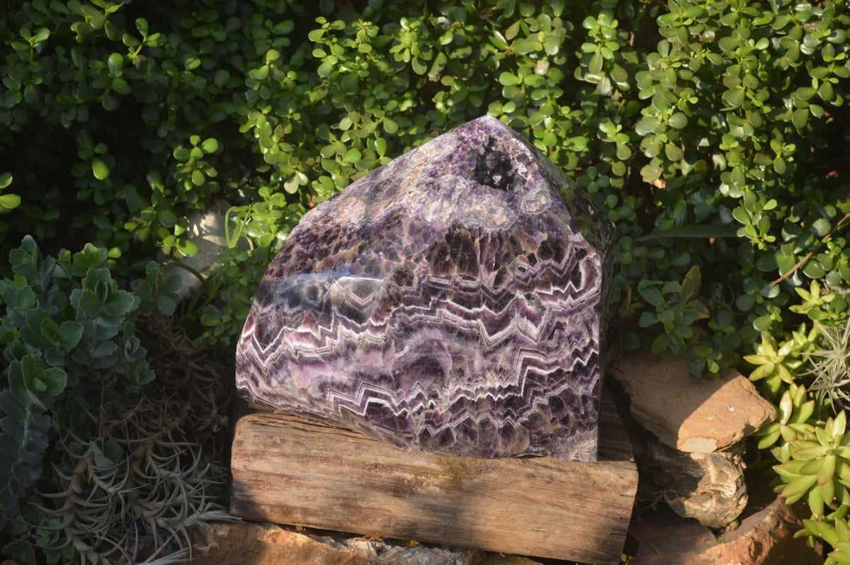 Polished Chevron Amethyst Point With Geode Vugs x 1 From Zambia - Toprock Gemstones and Minerals 