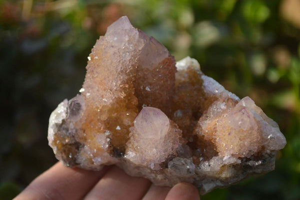 Natural Ametrine Spirit Quartz Clusters x 6 From Boekenhouthoek, South Africa