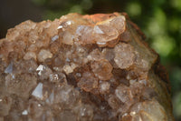 Natural Zululand Amethyst Geodes x 2 from Jozini, South Africa - Toprock Gemstones and Minerals 