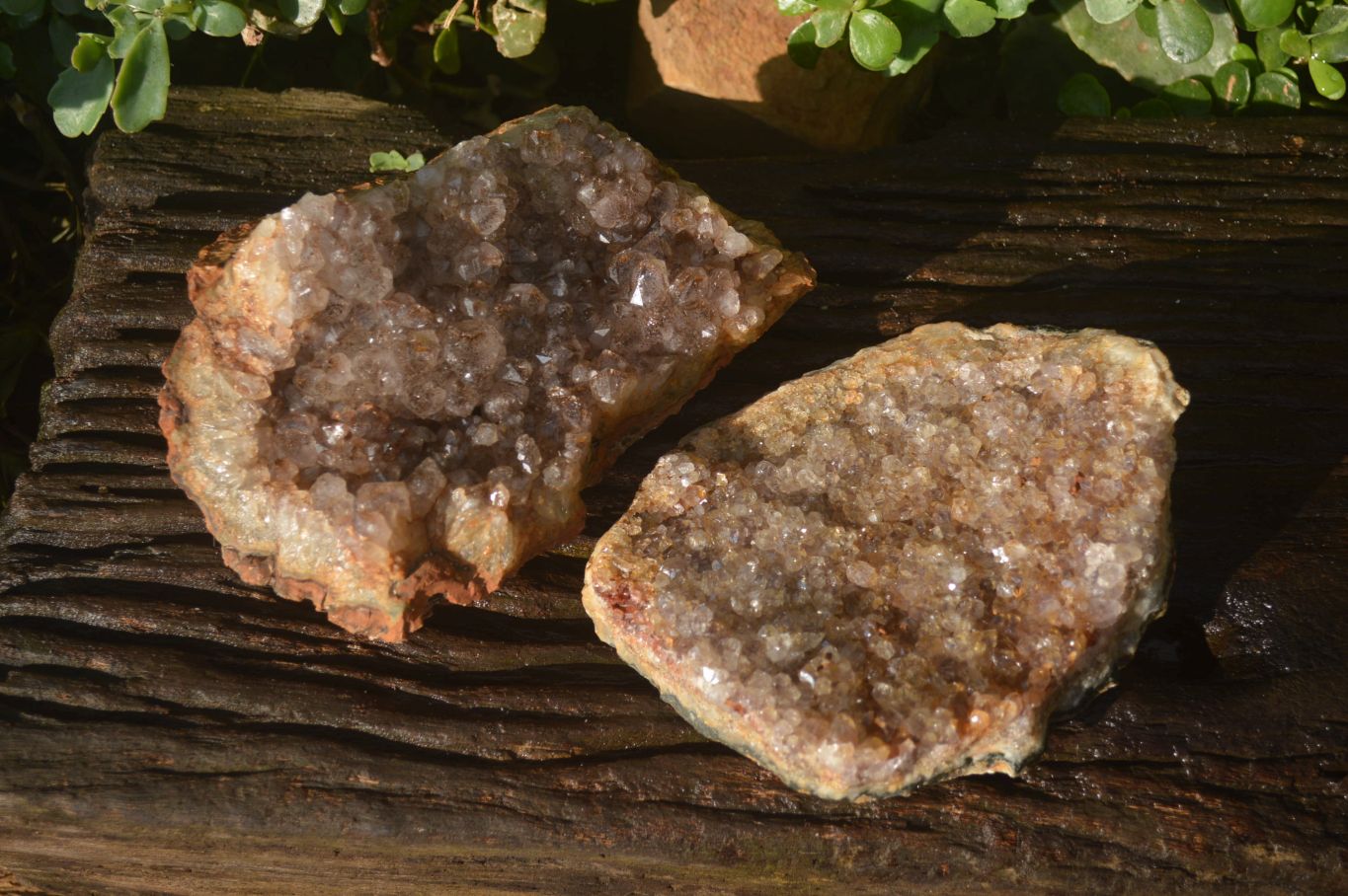 Natural Zululand Amethyst Geodes x 2 from Jozini, South Africa - Toprock Gemstones and Minerals 