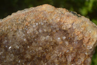 Natural Zululand Amethyst Geodes x 2 from Jozini, South Africa - Toprock Gemstones and Minerals 