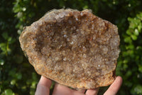 Natural Zululand Amethyst Geodes x 2 from Jozini, South Africa - Toprock Gemstones and Minerals 