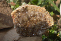Natural Zululand Amethyst Geodes x 2 from Jozini, South Africa - Toprock Gemstones and Minerals 