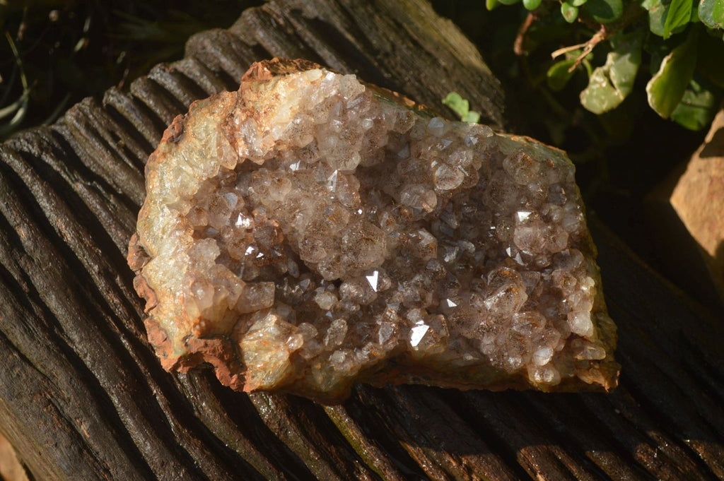 Natural Zululand Amethyst Geodes x 2 from Jozini, South Africa - Toprock Gemstones and Minerals 