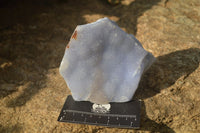 Natural Crystalline Blue Lace Agate Plates x 2 From Namibia - Toprock Gemstones and Minerals 
