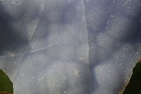 Natural Crystalline Blue Lace Agate Plates x 2 From Namibia - Toprock Gemstones and Minerals 