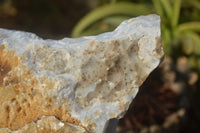 Natural Crystalline Blue Lace Agate Plates x 2 From Namibia - Toprock Gemstones and Minerals 