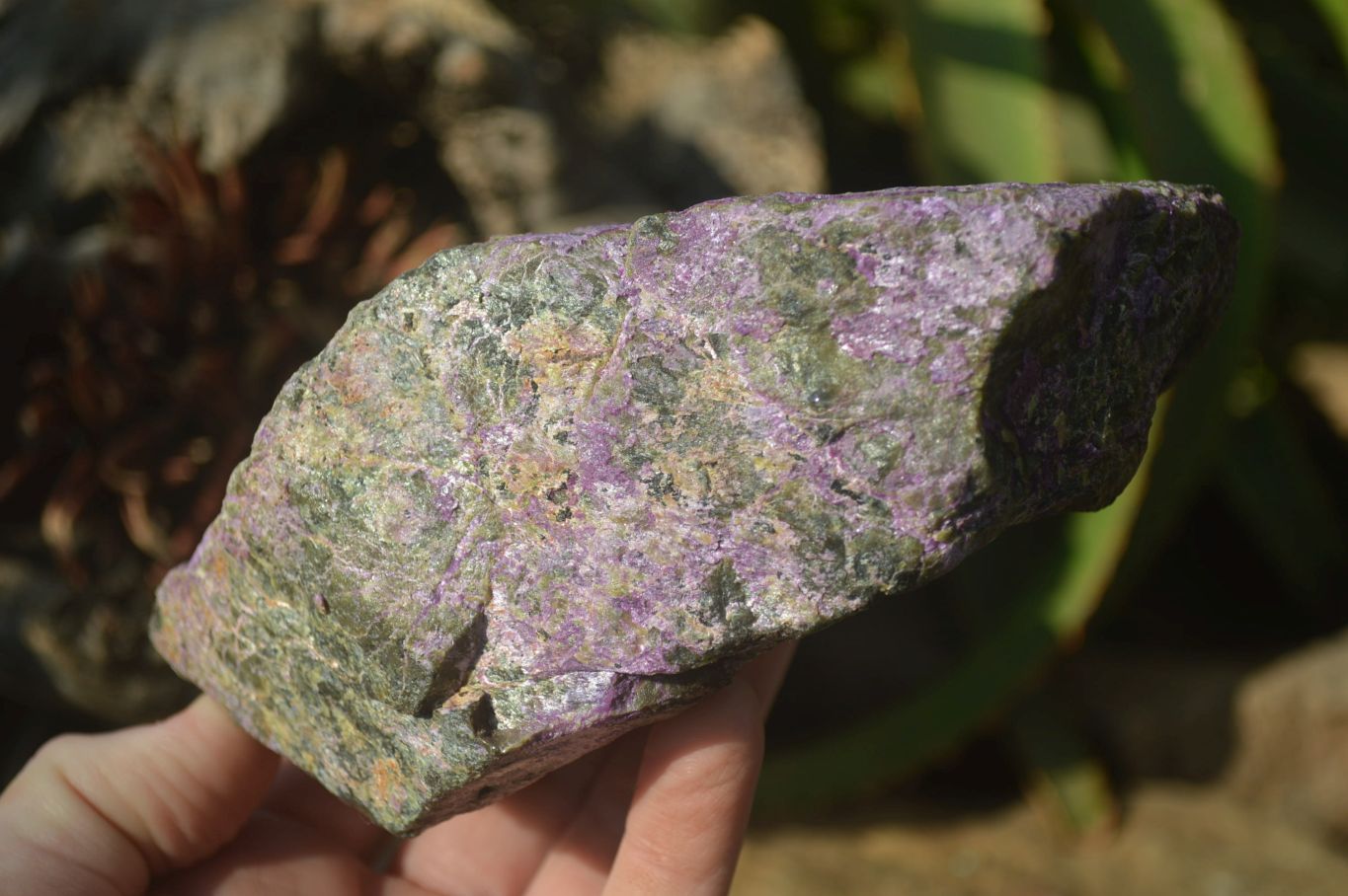 Natural Stichtite Cobbed Specimens x 4 From Barberton, South Africa - Toprock Gemstones and Minerals 