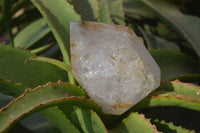 Polished Inclusion Quartz Points x 2 From Madagascar - Toprock Gemstones and Minerals 