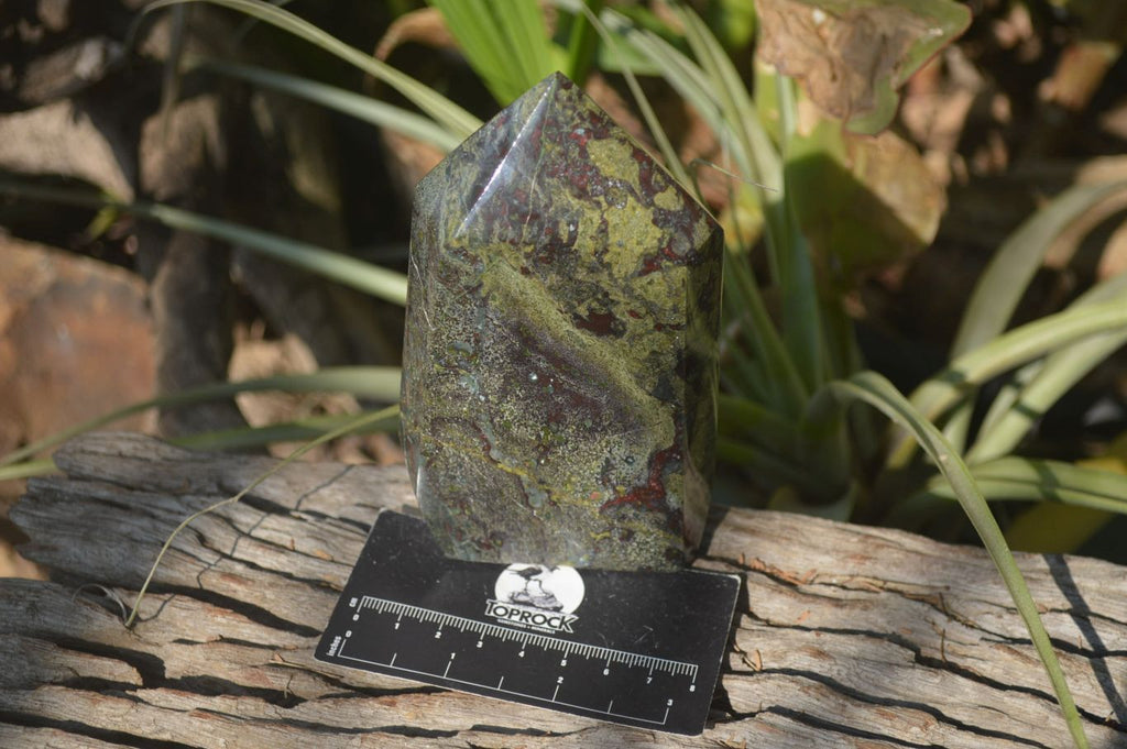 Polished Bastite Dragon Bloodstone Points x 2 From South Africa - Toprock Gemstones and Minerals 