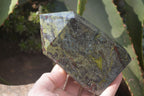 Polished Bastite Dragon Bloodstone Points x 2 From South Africa - Toprock Gemstones and Minerals 