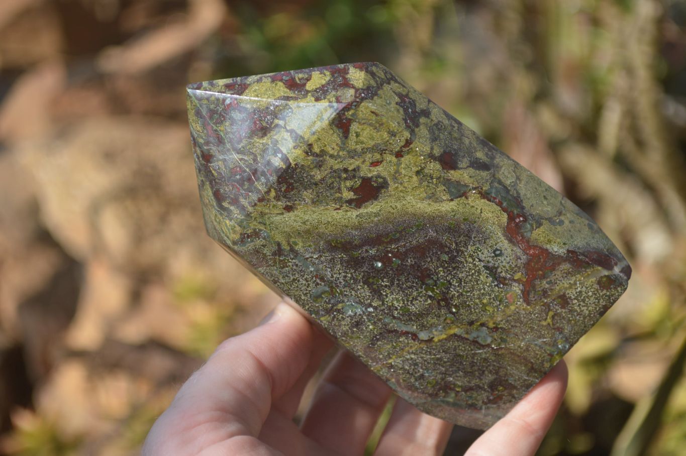 Polished Bastite Dragon Bloodstone Points x 2 From South Africa - Toprock Gemstones and Minerals 