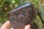 Polished Ruby Corundum In Chrome Verdite Free Forms x 4 From Zimbabwe - Toprock Gemstones and Minerals 
