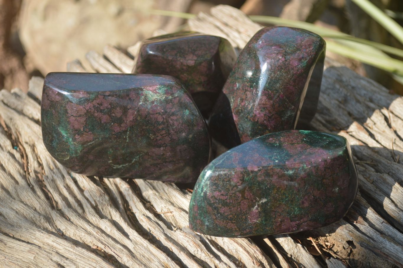 Polished Ruby Corundum In Chrome Verdite Free Forms x 4 From Zimbabwe - Toprock Gemstones and Minerals 