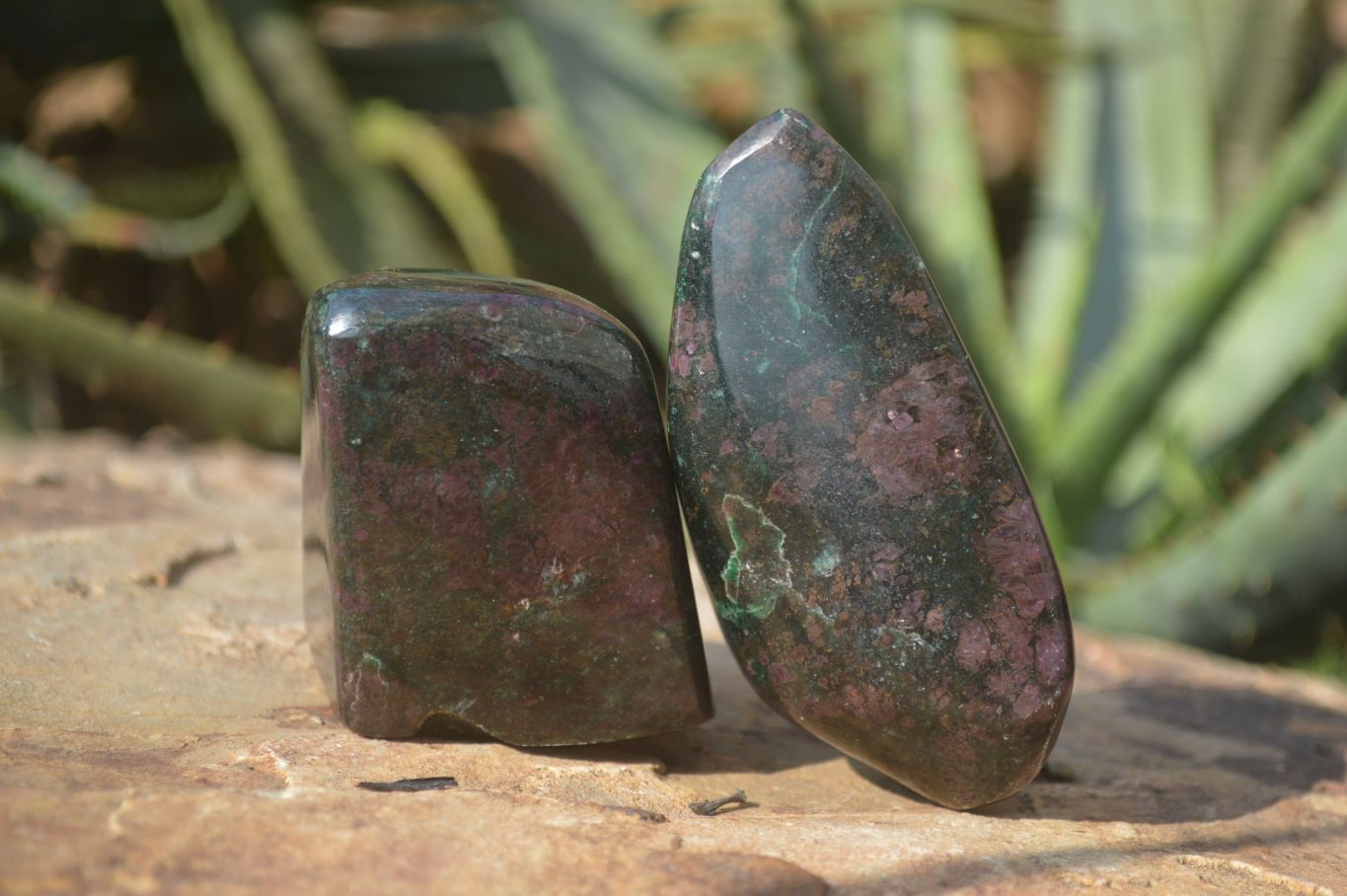 Polished Ruby Corundum In Chrome Verdite Free Forms x 4 From Zimbabwe - Toprock Gemstones and Minerals 