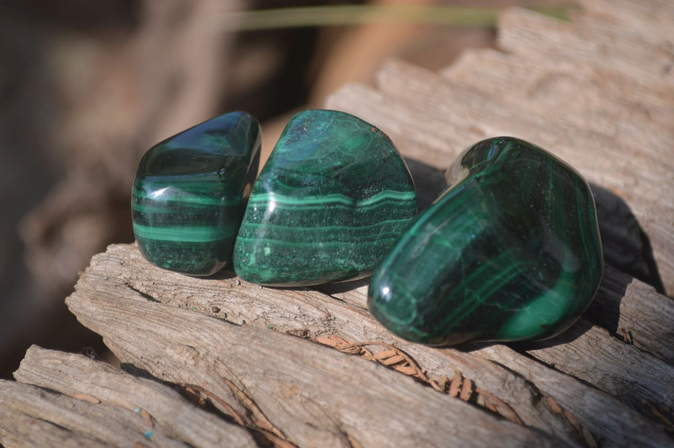 Polished Flower Banded Malachite Free Forms x 35 From Congo - Toprock Gemstones and Minerals 