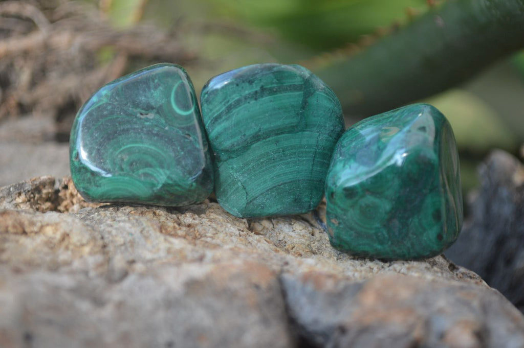 Polished Flower Banded Malachite Free Forms x 35 From Congo - Toprock Gemstones and Minerals 
