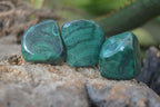 Polished Flower Banded Malachite Free Forms x 35 From Congo - Toprock Gemstones and Minerals 