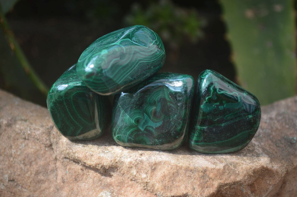 Polished Flower Banded Malachite Free Forms x 35 From Congo - Toprock Gemstones and Minerals 
