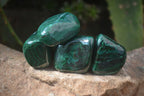 Polished Flower Banded Malachite Free Forms x 35 From Congo - Toprock Gemstones and Minerals 