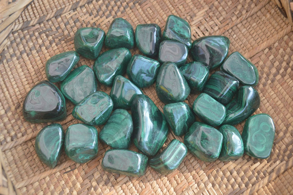 Polished Flower Banded Malachite Free Forms x 35 From Congo - Toprock Gemstones and Minerals 