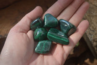 Polished Flower Banded Malachite Free Forms x 35 From Congo - Toprock Gemstones and Minerals 