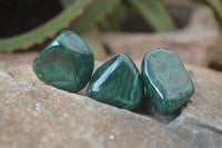 Polished Flower Banded Malachite Free Forms x 35 From Congo - Toprock Gemstones and Minerals 