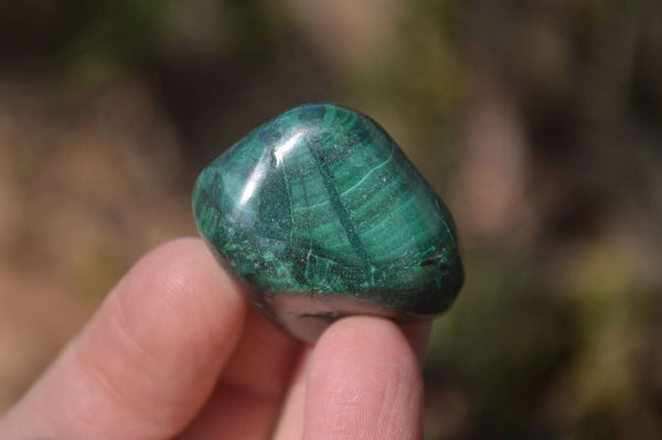 Polished Flower Banded Malachite Free Forms x 35 From Congo - Toprock Gemstones and Minerals 