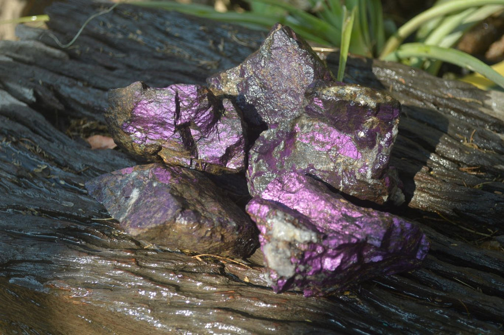 Natural Metallic Purpurite Cobbed Specimens x 5 From Erongo, Namibia - Toprock Gemstones and Minerals 