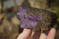 Natural Metallic Purpurite Cobbed Specimens x 5 From Erongo, Namibia - Toprock Gemstones and Minerals 