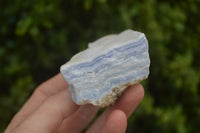 Natural Crystalline Blue Lace Agate Specimens x 12 From Namibia. - Toprock Gemstones and Minerals 