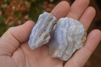 Natural Crystalline Blue Lace Agate Specimens x 12 From Namibia. - Toprock Gemstones and Minerals 