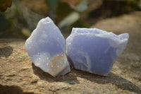 Natural Crystalline Blue Lace Agate Specimens x 12 From Namibia. - Toprock Gemstones and Minerals 