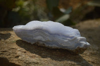 Natural Crystalline Blue Lace Agate Specimens x 12 From Namibia. - Toprock Gemstones and Minerals 