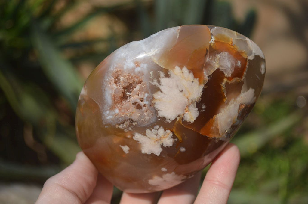 Polished Flower Agate Standing Free Forms x 2 From Madagascar - Toprock Gemstones and Minerals 