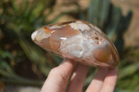 Polished Flower Agate Standing Free Forms x 2 From Madagascar - Toprock Gemstones and Minerals 