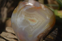 Polished Flower Agate Standing Free Forms x 2 From Madagascar - Toprock Gemstones and Minerals 