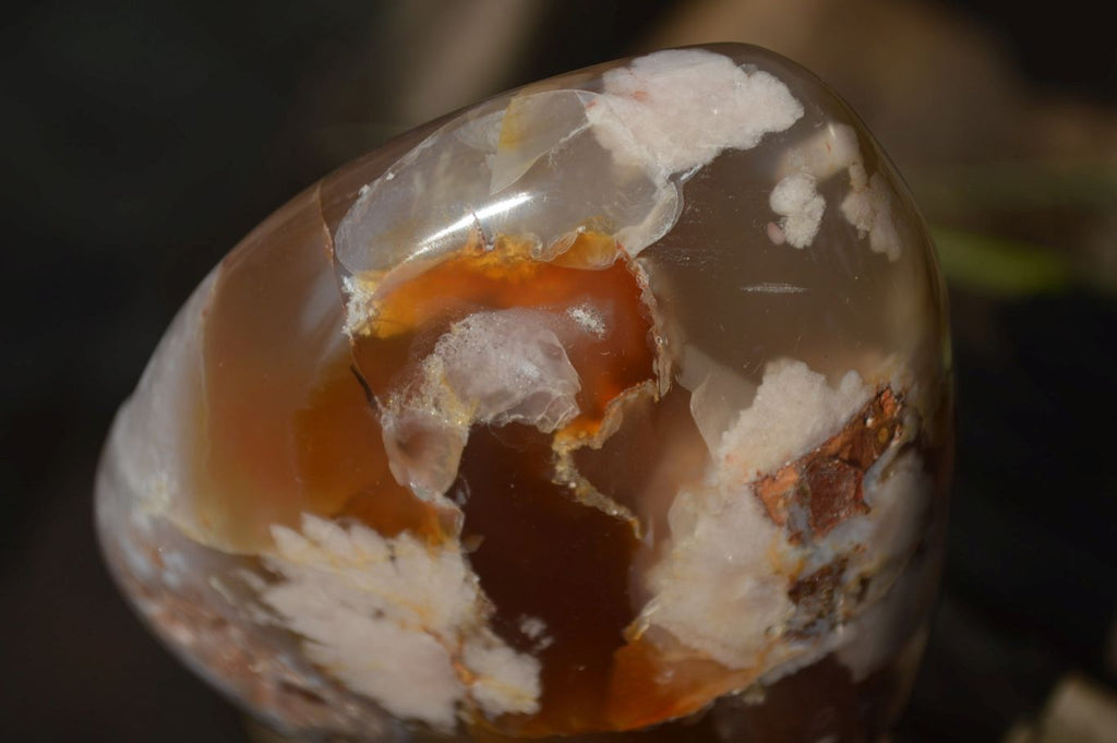 Polished Flower Agate Standing Free Forms x 2 From Madagascar - Toprock Gemstones and Minerals 