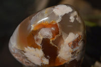 Polished Flower Agate Standing Free Forms x 2 From Madagascar - Toprock Gemstones and Minerals 
