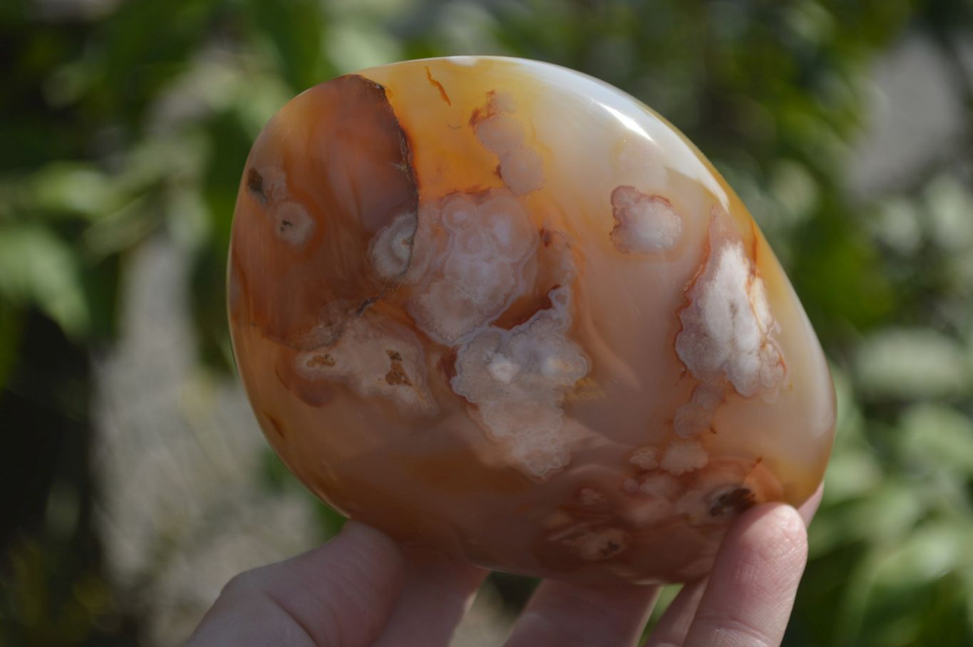 Polished Flower Agate Standing Free Forms x 2 From Madagascar - Toprock Gemstones and Minerals 