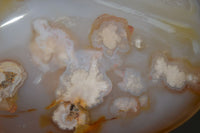 Polished Flower Agate Standing Free Forms x 2 From Madagascar - Toprock Gemstones and Minerals 