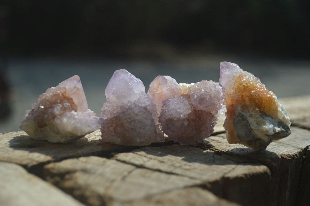 Natural Ametrine Spirit Quartz Clusters x 35 From Boekenhouthoek, South Africa - Toprock Gemstones and Minerals 